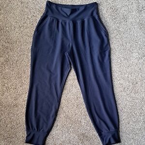 Womens Navy Blue Jogger Pants